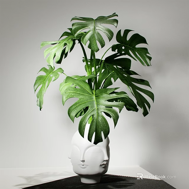 Monstera Potted Plant With Large Green Leaves In White Vase For Indoor Decor 3d model 