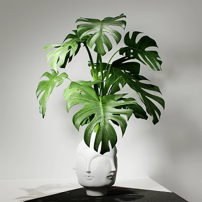 Monstera Potted Plant With Large Green Leaves In White Vase For Indoor Decor 3d model