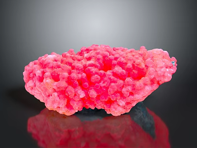 Pink Coral Natural Marine Animal Structure With Textured Surface And Dark Background 3d model