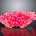 Pink Coral Natural Marine Animal Structure With Textured Surface And Dark Background