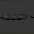 Detailed 3D Whale Model with Red and White Spots on Its Body Against Dark Background