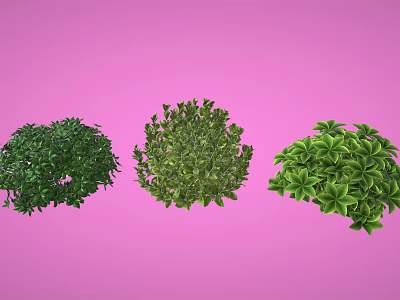 Three Lush Green Plants With Leafy Foliage And Different Shapes On Pink Background 3d model