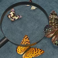 Colorful Everyday Magnifying Glass With Various Patterned Butterflies On Blue Background
