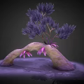Purple Needle Leaf Plant Growing On Curved Rock Structure With Pink Flowers Dark Background Reflective