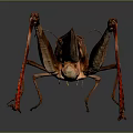 grasshopper insect cartoon locust animation locust anime locust anime game character 3d model