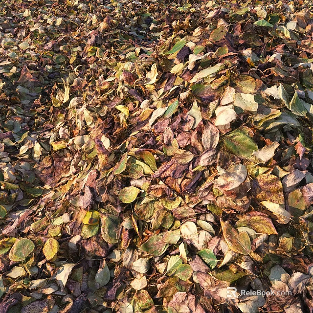 Colorful Fallen Leaves Covering Ground With Various Shapes And Textures 3d model 