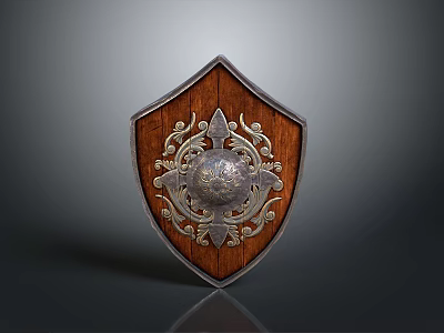 Medieval Wooden Shield With Intricate Metal Decorations And Central Circular Design 3d model