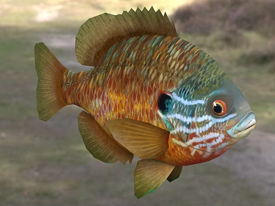 Vibrant Tropical Fish With Colorful Orange Green Blue Scales Large Eyes And Distinctive Fins 3d model