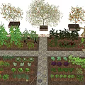 Organic Vegetable Garden Landscape With Raised Beds Stone Path Fruit Trees And Gardening Tools