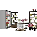 Vase And Colorful Flowers Display On Multiple Shelves With Various Blooms