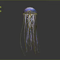 Graceful Blue Jellyfish With Transparent Long Tentacles Floating In Dark Background 3d model