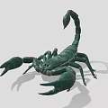 Realistic Green Scorpion 3D Model With Curved Tail And Sharp Claws