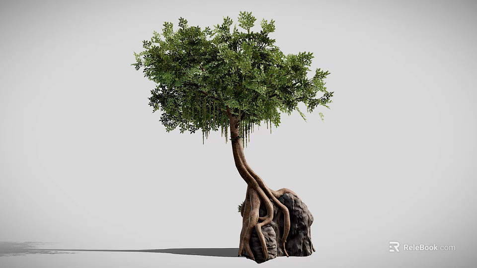 Natural Tree With Twisted Trunk And Entwined Roots Around Large Stone 3d model 
