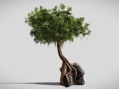 Natural Tree With Twisted Trunk And Entwined Roots Around Large Stone 3d model