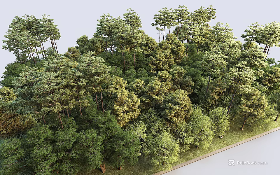 Lush Natural Plant Combination Featuring Diverse Tree Species In Forest Setting 3d model 