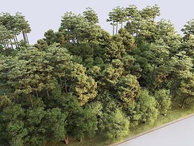 Lush Natural Plant Combination Featuring Diverse Tree Species In Forest Setting 3d model