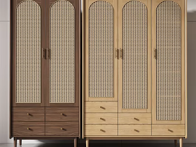 Modern Wicker Door Wardrobe With Drawers In Dark Brown And Light Wood 3d model