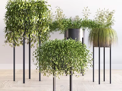 Modern potted flower pot 3d model