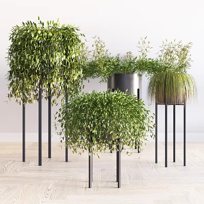 Indoor Decorative Potted Plants With Hanging Green Leaves And Black Metal Stands 3d model