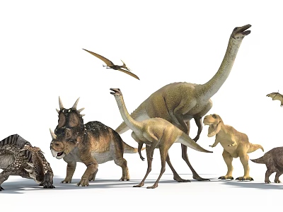 Various Dinosaur Models With Different Species Sizes And Features 3d model