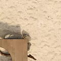 Textured Sandy Beach With Scattered Stones And Smooth Wooden Plank