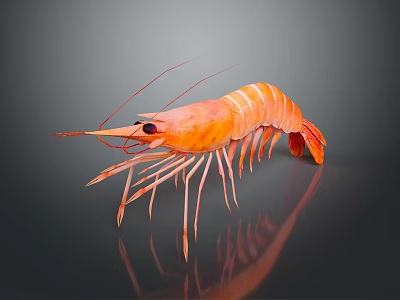 Fresh Orange Cooked Shrimp Perfect For Seafood Dishes And Gourmet Meals 3d model