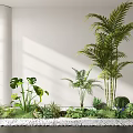 Indoor Bonsai and Potted Plants with Various Green Species on White Pebbles Under Natural Light
