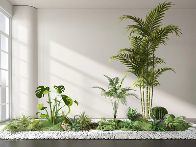 Indoor Bonsai and Potted Plants with Various Green Species on White Pebbles Under Natural Light 3d model