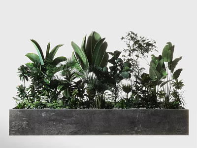 Diverse Green Plants in Long Rectangular Concrete Planter Showcasing Lush Foliage and Healthy Growth 3d model
