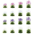 Colorful Delphinium Flowers Garden Decor With Purple Pink White Blooms And Green Foliage