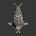 Detailed Lifelike 3D Seal Model With Spotted Fur On Gray Background