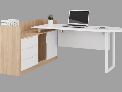 Modern Office Interior Design With Wooden White Desk Laptop Drawers And Green Plant 3d model