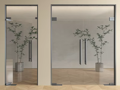 Modern Glass Hinged Doors with Metal Frames Silver Handles and Indoor Plants 3d model