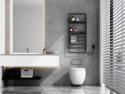 Modern Bathroom Interior With Gray Wall Mirror And Smart Toilet 3d model