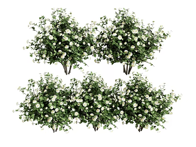 Vase Flowers With White Small Blooms And Green Leaves Decorative Arrangement 3d model