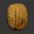 Whole Golden Brown Walnut with Textured Shell Natural Healthy Nut Snack Option