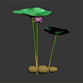 Lotus Plant With Pink Bloom Green Leaves Yellow Roots And Reflection