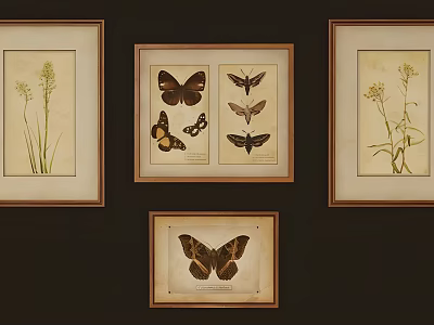 Multiple Framed Butterfly Animal Paintings With Botanical Art On Dark Wall 3d model