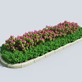 Green Flowering Shrubs With Pink Blooms In Elongated Garden Bed Landscape Design