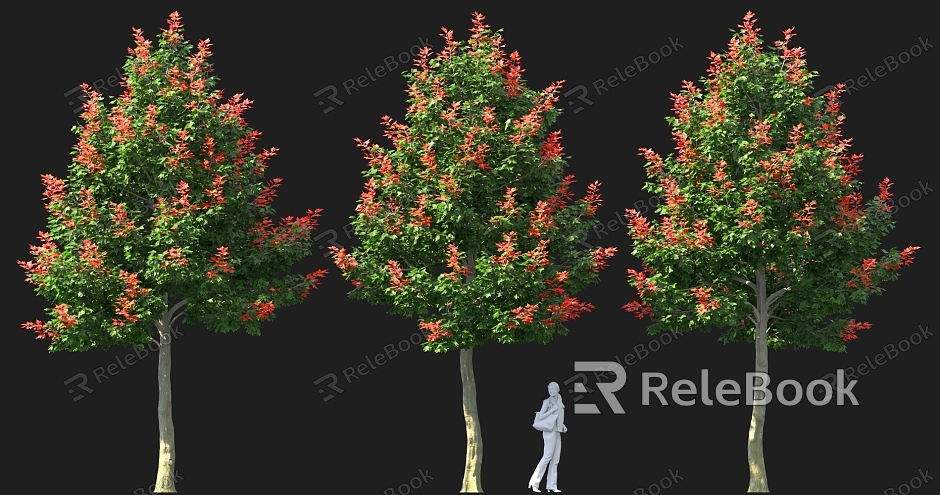 Chinese-style Red Maple Tree Pond Street Tree High Pole Landscape Tree Solitary Tree Planting model