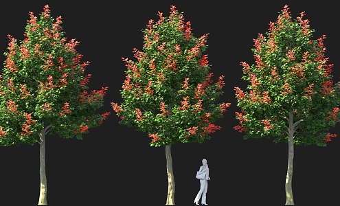 Chinese-style Red Maple Tree Pond Street Tree High Pole Landscape Tree Solitary Tree Planting 3d model