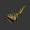 Vibrant Yellow And Black Butterfly With Detailed Wing Patterns And Antennae