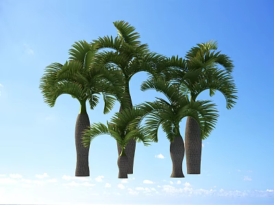 Tall Lush Palm Trees Against Clear Blue Sky With White Clouds 3d model