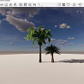 Tropical Banana and Palm Trees Under Blue Sky With White Clouds on Sandy Ground