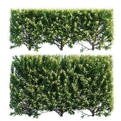 Lush Green Shrubs In Garden Landscape Design With Dense Evergreen Foliage And Trimmed Hedges 3d model