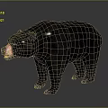 Realistic Black Bear With Black Fur And Pink Nose On Gray Background
