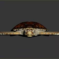 Reptile Sea Turtle With Glossy Red Orange Shell And Intricate Pattern On Reflective Dark Background