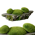 Bonsai Pot Plant with Round Moss Balls on Natural Stone Slab Decor