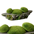 Moss landscape landscaping plant device landscape sketch stone table top 3d model