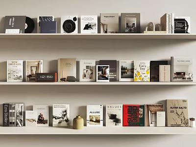Modern Decorative Ornaments Set With Books On White Shelves 3d model